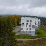Môj Hillside *